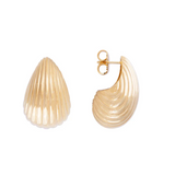 Fairley Shell Monaco Studs
