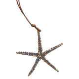 Pesci Che Volano Stella Di Mare / Blue