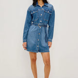 Rails Tustin Dress / Skyride