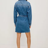 Rails Tustin Dress / Skyride