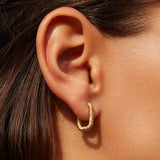 Agapee Lecco Earrings
